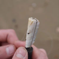 TronixPro Baiting Tool